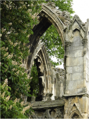 Number 1:  View of St Mary’s ruins in Museum Gardens, York. Photographer: Kerrie Hoffman, University of York (84 points)